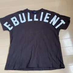 Tシャツ　茶色　160サイズ　胸プリント