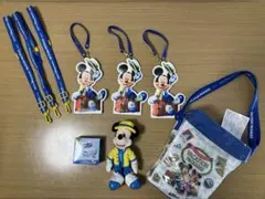 東京ディズニーリゾート バケーションパッケージセット