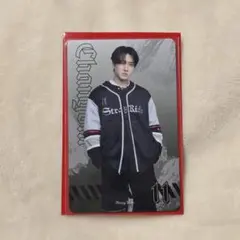 Stray Kids チャンビン dminATE エコパ ランダムフォトカ