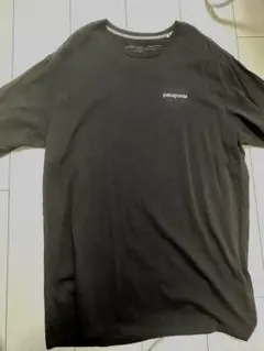 patagonia Tシャツ M