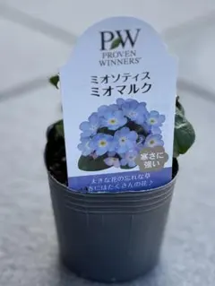 海.様 リクエスト 2点 まとめ商品