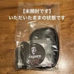 【全て未開封❤︎送料込】レディーガガ VIP silverグッズセット❤︎大阪