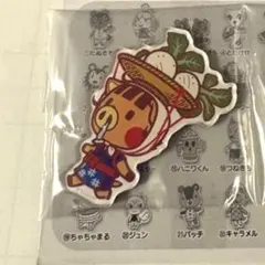 あつまれ どうぶつの森 キャラマグネッツ ウリのサムネイル