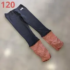 ニットプランナーKP 120スパッツ