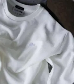 lacoste tシャツ