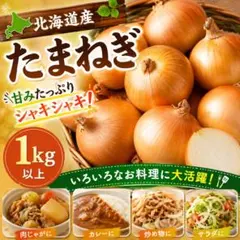 北海道産 玉ねぎ 1kg以上 個数おまかせのサムネイル