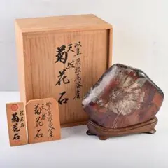 2026年最新】菊花石 岐阜の人気アイテム - メルカリ