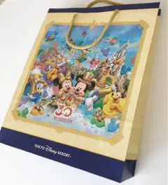 ディズニーリゾート 30周年 紙袋