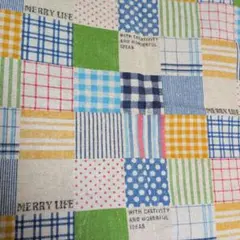 ●綿キャンパス●紺色