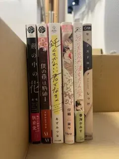 BL漫画　まとめ売り6冊