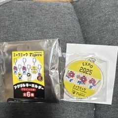 Item thumbnail for item 8f4e29c6-6e0c-46db-9d1b-de2e4f21e341