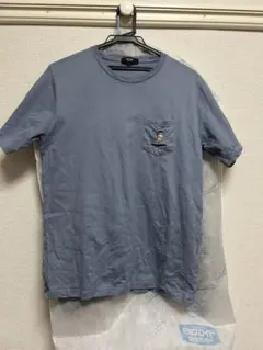 Item thumbnail for item 8fa83a51-de12-4736-ab9d-718c930b7fe8