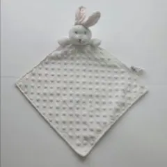 Item thumbnail for item 1252e1b2-7f9b-4f03-9b00-62c319cdc3ab