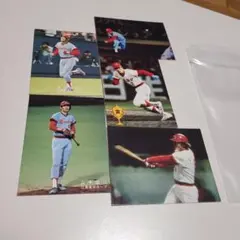 2025年最新】1979 広島 優勝の人気アイテム - メルカリ