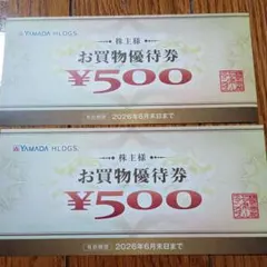 YAMADA HLDGS. お買物優待券 ¥500×2枚
