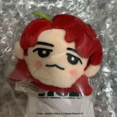 Mrs. GREEN APPLE 若井滉斗 韓国ライブ ぬいぐるみキーホルダー - メルカリ