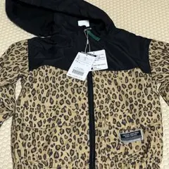 Item thumbnail for item 54d5a40c-8d18-4234-b835-6aa01ae45eed