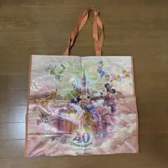東京ディズニーリゾート 30周年 ショッピングバッグ Mサイズ