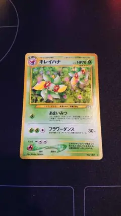 旧裏　キレイハナ
