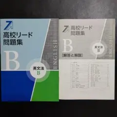 【新品・2025最新版】教育開発出版　高校リード問題集　英文法B