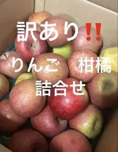 92専用訳あり‼️りんご2種　宇和ゴールド　甘夏　10キロ以内のサムネイル