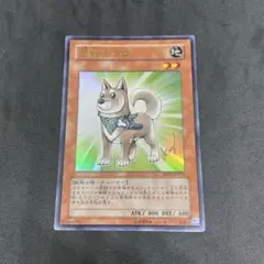 【ARS10+】高橋和希氏描き下ろし/サイン 柴戦士タロ ウルトラ ARS10+】高橋和希氏描き下ろし/サイン 柴戦士タロ ウルトラ