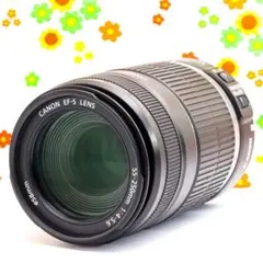 美品✨️Canon EF-S 55-250mm IS 手ぶれ補正 望遠レンズ - メルカリ