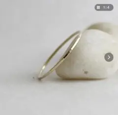 Item thumbnail for item 0c42a532-ed3a-43d0-90b9-b967fe682a2f