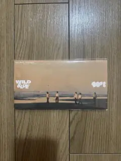 WILD BLUE memorial 8cm singleCD フォトカード付き