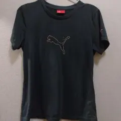 PUMATシャツ