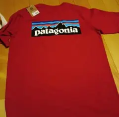 patagonia 赤 ロゴ Tシャツ