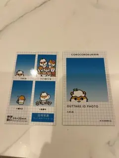 コロコロクリリン　証明写真