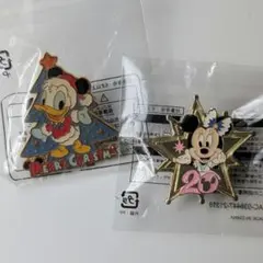 2種セット ディズニーシー ピンバッジ