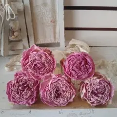 芍薬❄ドライフラワーのサムネイル