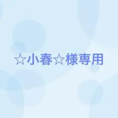 【13番目対応】☆小春☆様専用