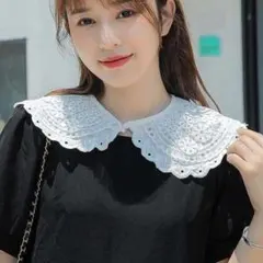 レース付け襟 フリル 大人可愛い 丸襟 ホワイト 小顔効果 フェミニン コーデ