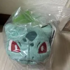 ポケモンベストウイッシュぬいぐるみ フシギダネ 2012 廃盤 希少 タグ