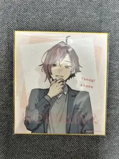 2025年最新】ホリミヤ 柳明音の人気アイテム - メルカリ