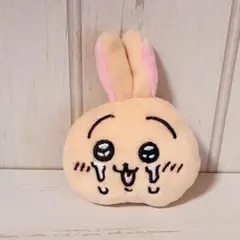 ちいかわ　なかよしぬいぐるみバッジ　いろんなおかお　うさぎ
