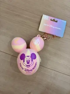 東京ディズニーリゾート 40周年　バッグチャームケース付