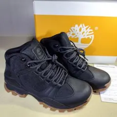 Item thumbnail for item 52ce0c8c-5148-4962-9181-ece1f0b1d6be