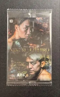 RIZINウエハース　NO.34 シークレット2