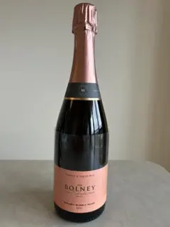 Bolney Bubbly Rose スパークリングワイン 750mlのサムネイル