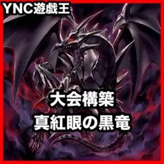 時の黒魔術師 デッキ 本格構築 遊戯王 真紅眼の超越黒竜 灰流うらら