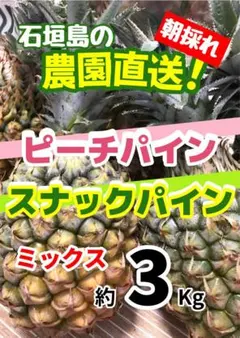 沖縄県石垣島産ピーチパイン スナックパイン ミックス 計約3Kgのサムネイル