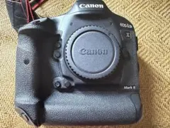 シャッター数6743回 Canon EOS 5D Mark IV 本体 - メルカリ