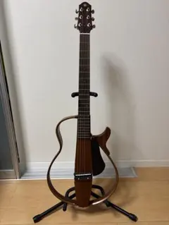 Ania EST.1956 アコースティックギターダークブラウン＋ギター小道具等