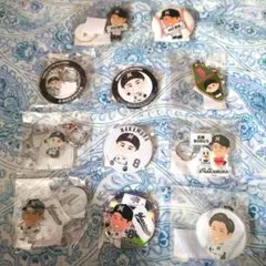 千葉ロッテマリーンズ 中村奨吾 缶バッジアクスタアクキー 11点まとめ売り