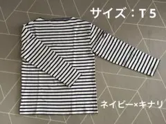 セントジェームス　ウェッソン　T5