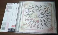 LEZARD 「とかげ図鑑　見る見る盤」 ヴィジュアル系 V系 キズ 来夢